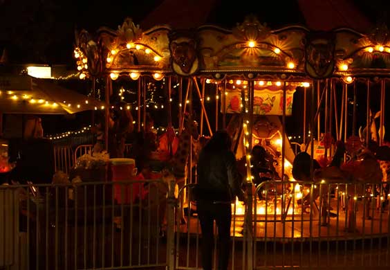 Zoo boise Carousel At night.
