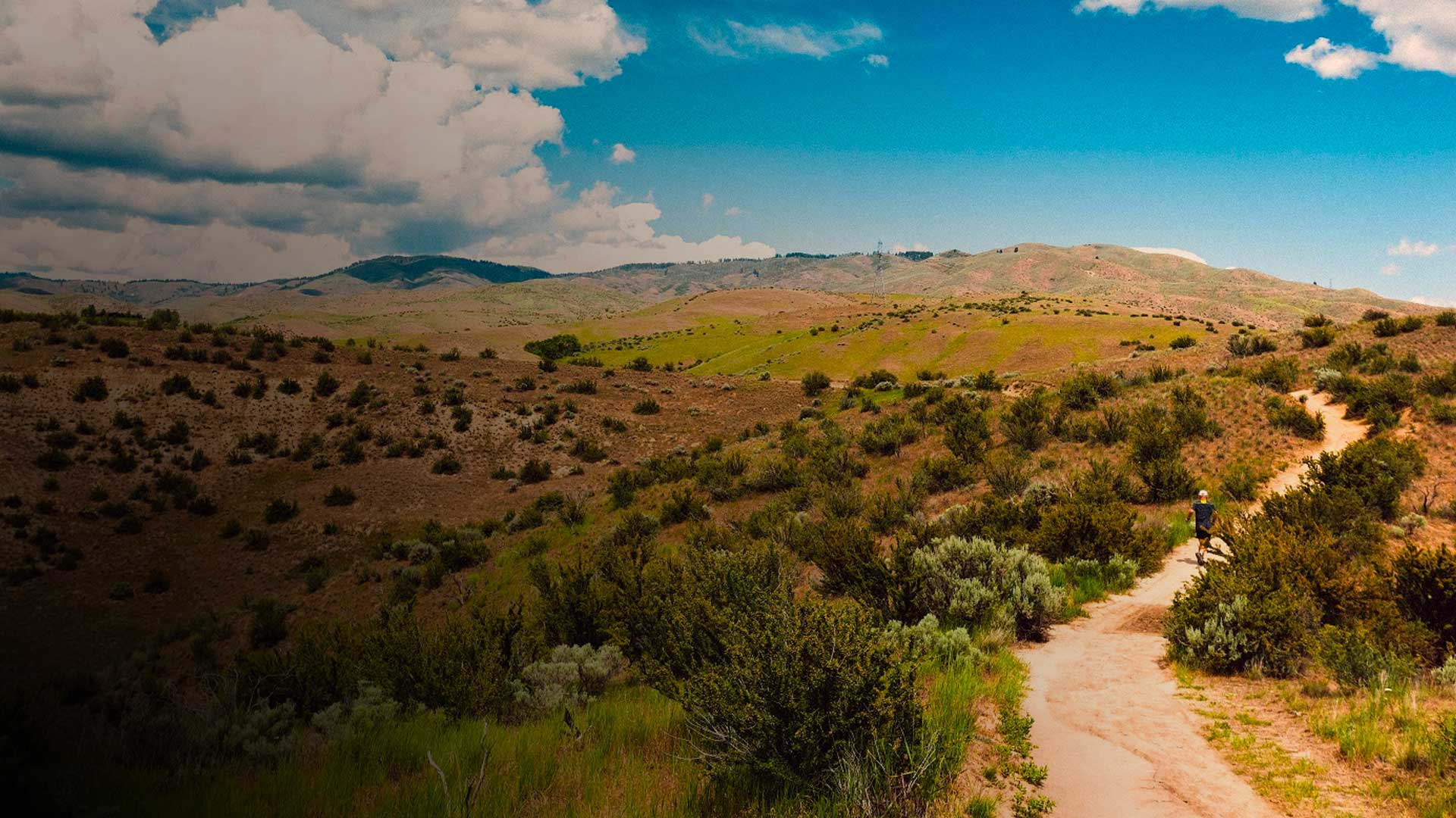 Boise Foothills Restoration Project Zoo Boise