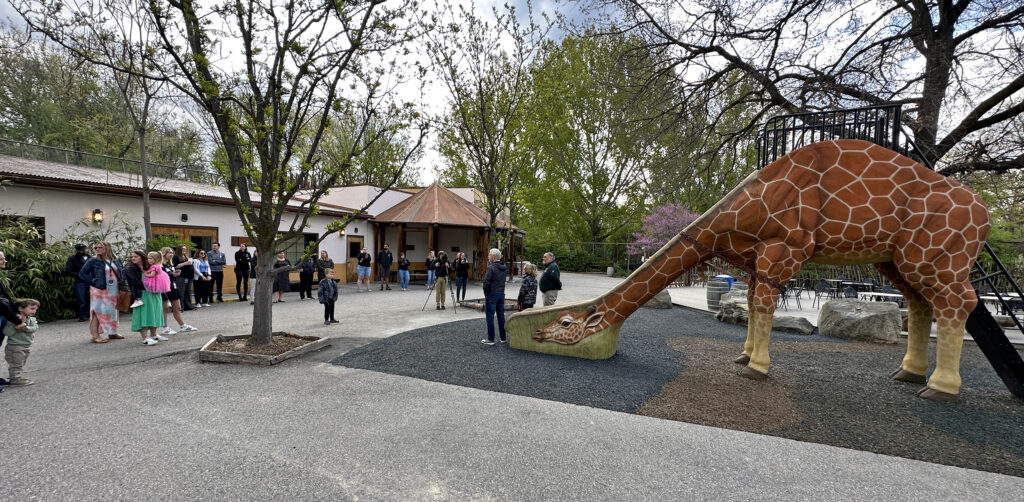 Construction Updates Zoo Boise