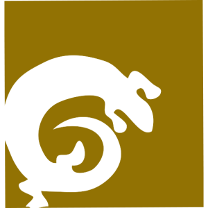 small lizard icon
