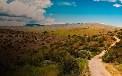 Boise Foothills Restoration Project