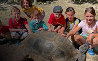 Spring Break 2025 Camps