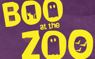 Boo at the Zoo presented by Delta Dental of Idaho