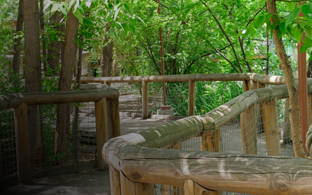 Zoo Parking and Entrance During Treefort Music Fest