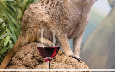 Wine Safari (21+)