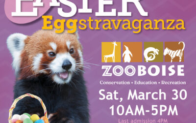 Easter EGGstravaganza presented by U.S. Bank