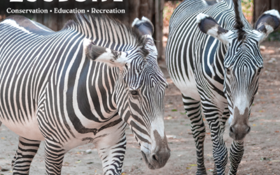 Woo at the Zoo (21+ only)