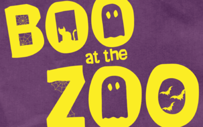 Boo at the Zoo presented by Delta Dental of Idaho