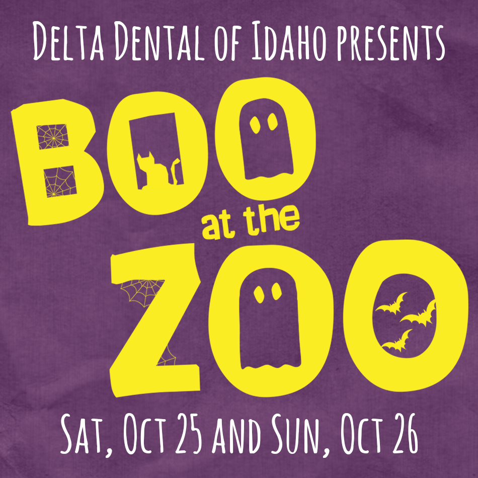 Boo at the Zoo wordmark purple logo