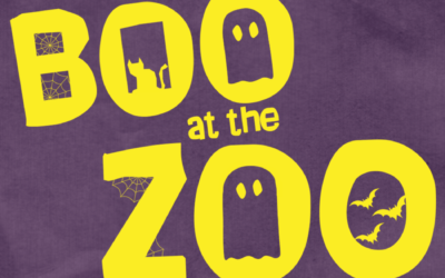 Boo at the Zoo presented by Delta Dental of Idaho