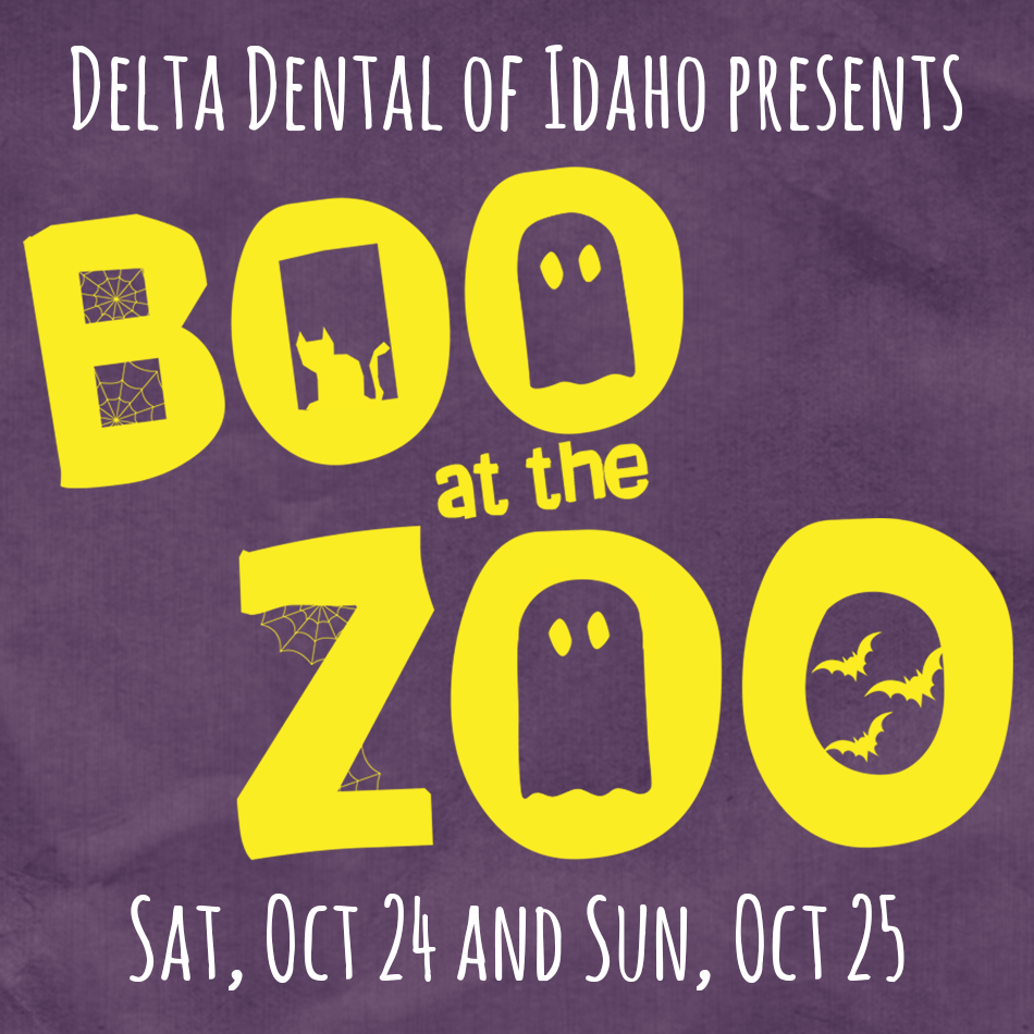 Boo at the Zoo wordmark purple logo