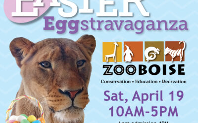 Easter EGGstravaganza presented by SCHEELS