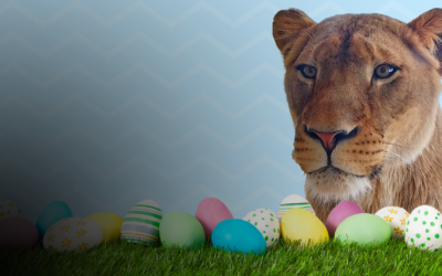 Easter EGGstravaganza presented by SCHEELS