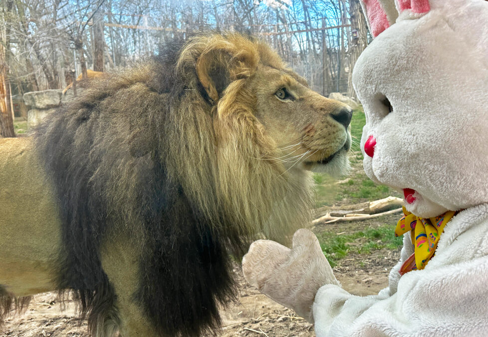 Easter EGGstravaganza Returns to Zoo Boise Saturday, April 19