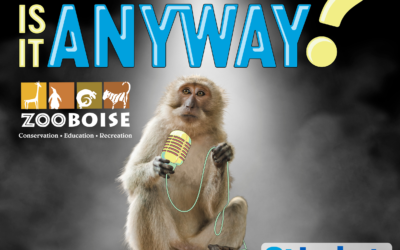 Zoo’s Line is it Anyway?