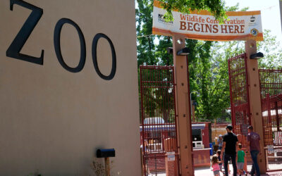 Zoo Capitol Blvd. Entry Detour