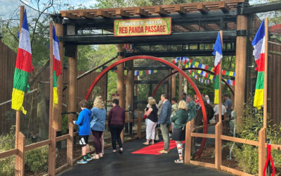 Construction Updates