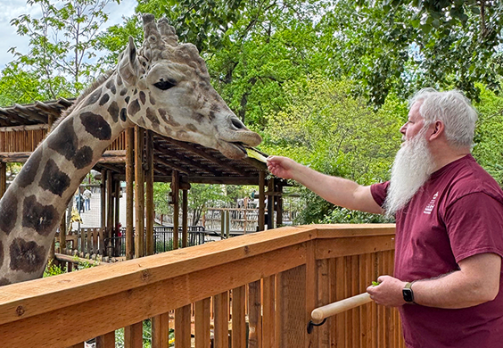 2025 Giraffe Encounter NEW small tiles 564x390 A man feeds a male giraffe at a zoo.