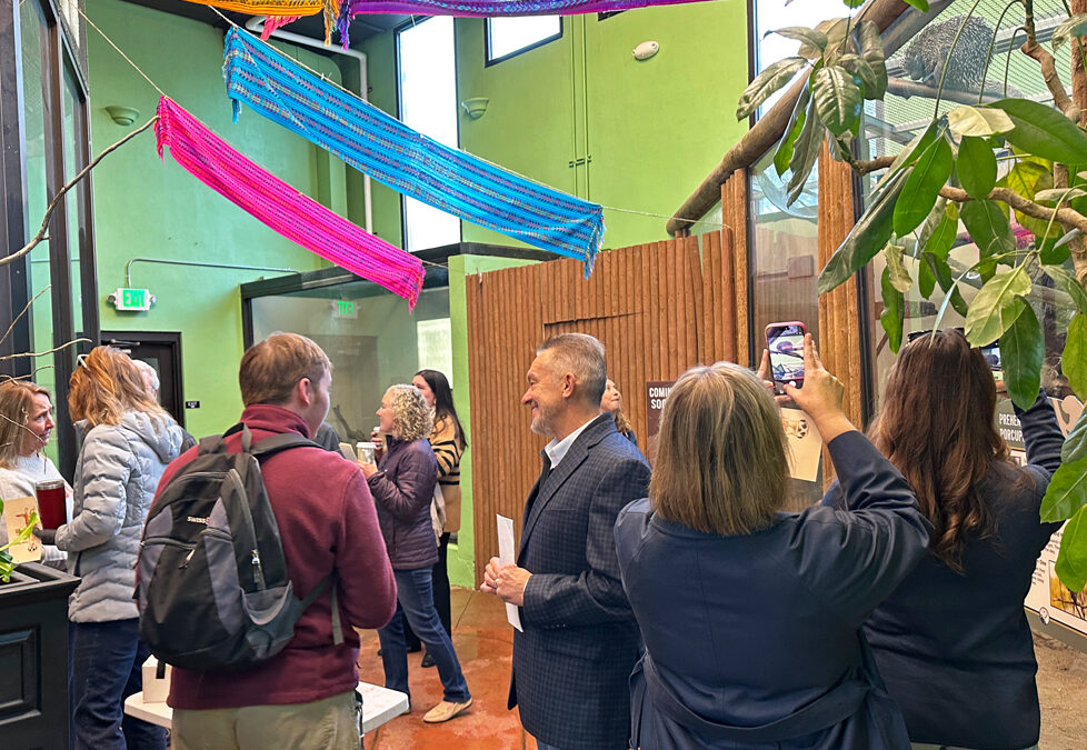 Construction Updates