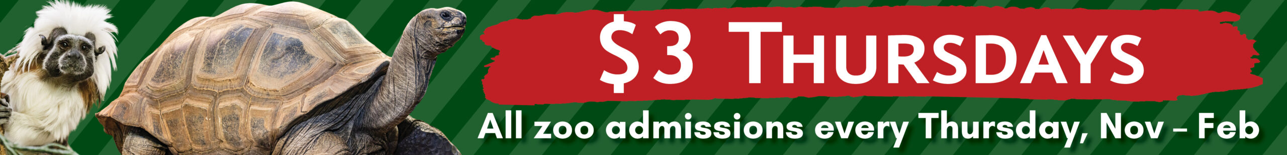 2025-10 homepage action photos alert box 1650x200 $3 Thursday holly3 A red panda on a log and text stating, "$3 Thursdays, December 2023 through February 2024".