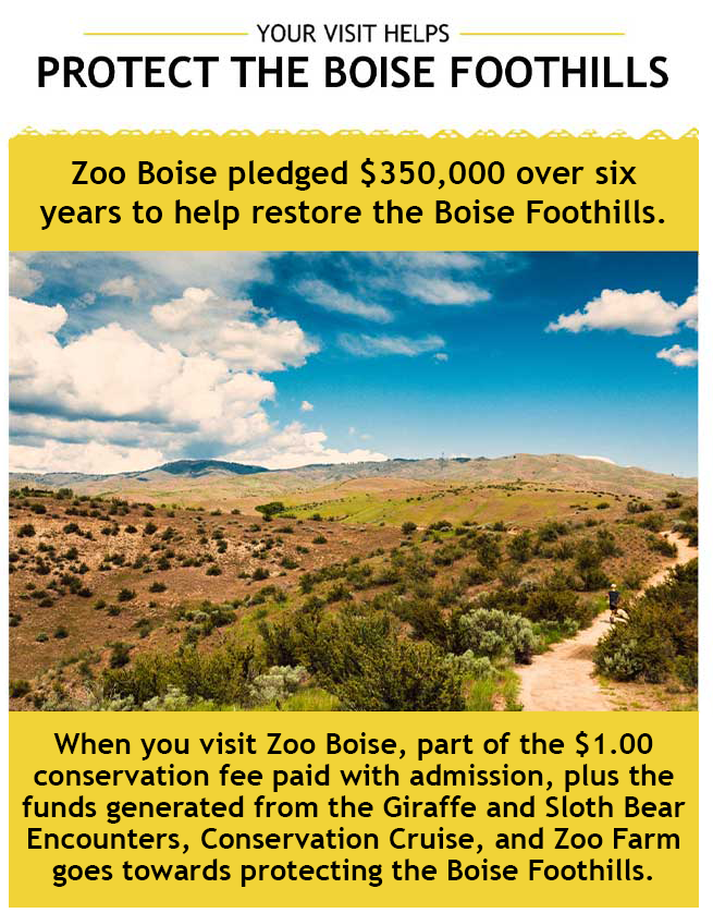 protect-foothills-slide-25-upd Zoo boise conservation fund flyer